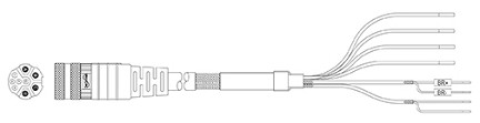P29168-Mxx Non-flex, motor power cable with brake, 14AWG, M23, threaded DIN, flying-leads. Compatible part 2090-XXNPMF-14Sxx