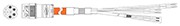 P30626-M10 Single motor cable, M23, Checkmate™, 1000V Hybrid cable with 4 power(14awg), 2 feedback (digital communication) and 2 brake conductors, drive-end flying leads. 10M Length. Compatible to 2090-CSBM1DF-14AA10